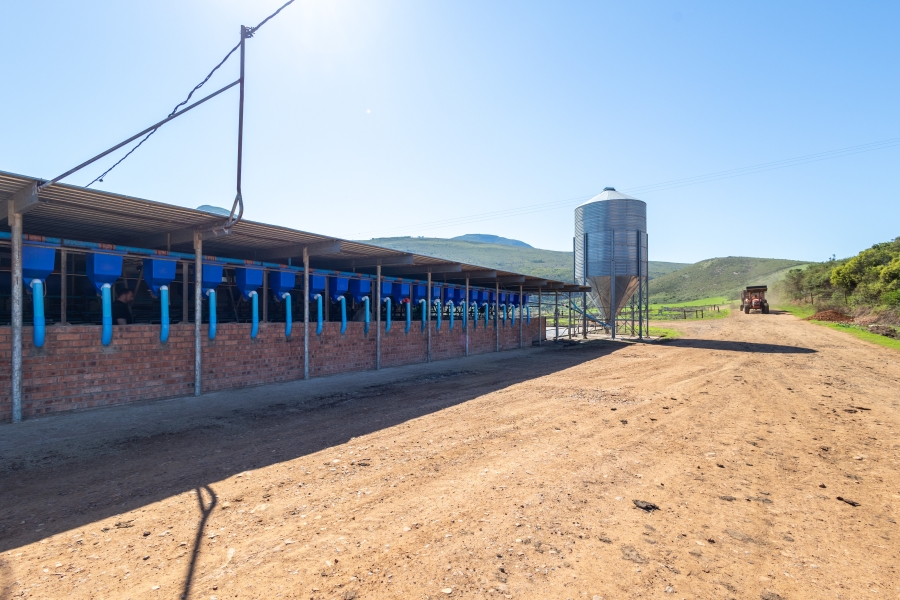 0 Bedroom Property for Sale in Kareedouw Eastern Cape